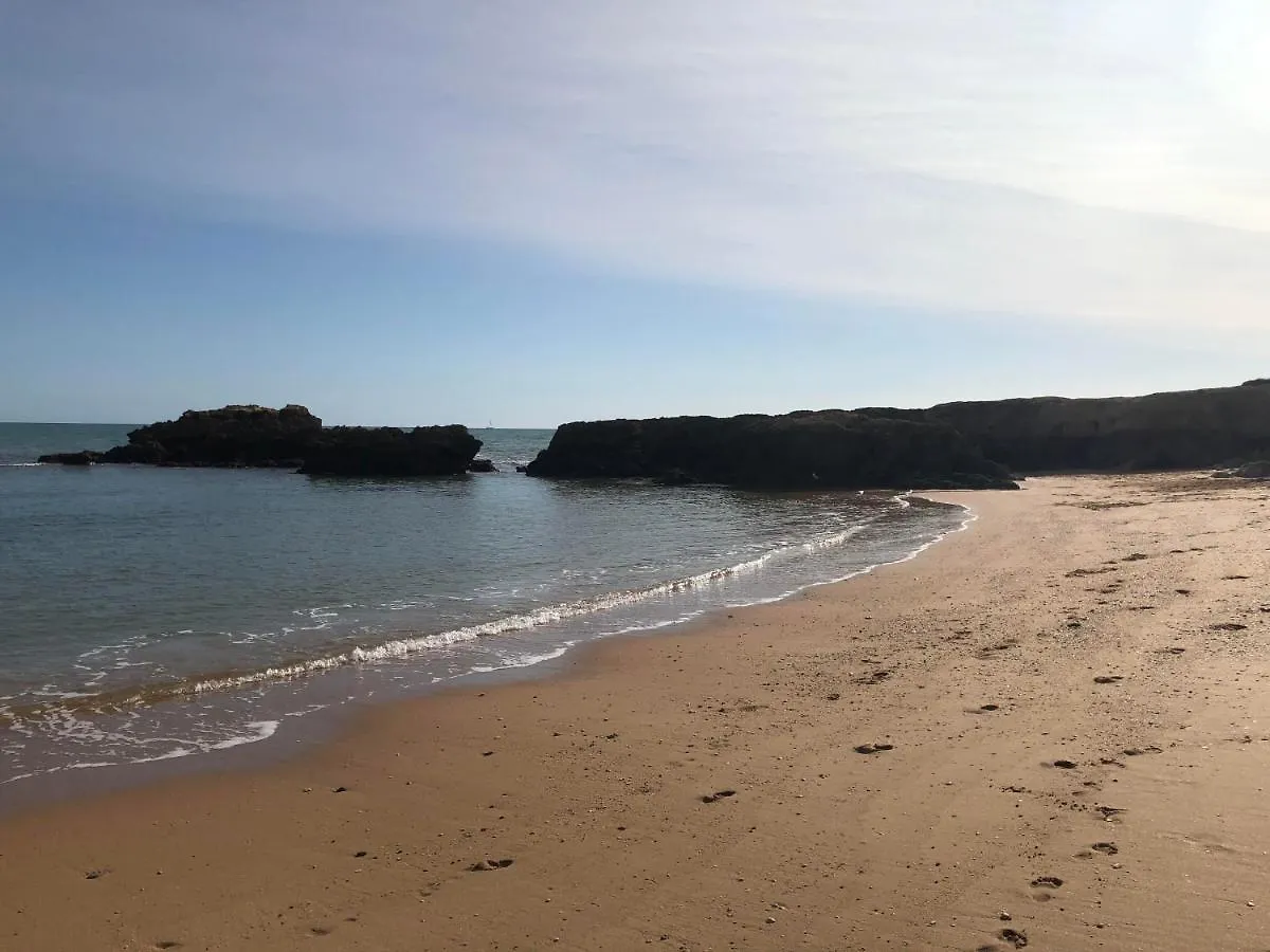 Magnifique Appartement Sur La Plage ... Albufeira